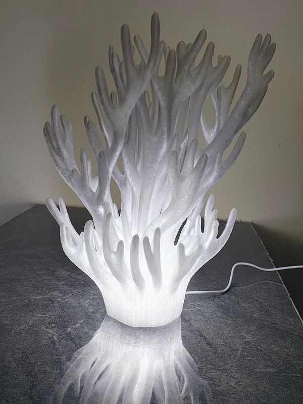 A glowing coral-shaped lamp on a reflective surface.