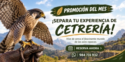 Cusco Birding