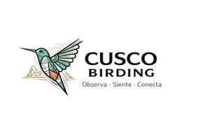 Cusco Birding