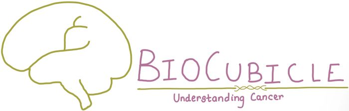 Two people in a formal setting reviewing documents at a wooden table.