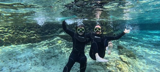 manatee tours in crystal river