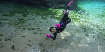 manatee tours in crystal river