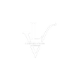 Limitless Vision