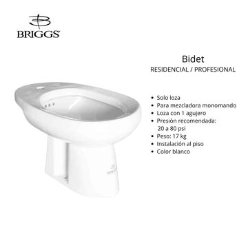 Bidet blanco Briggs para uso residencial y profesional.