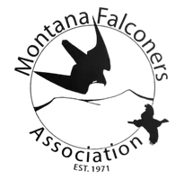 MONTANA FALCONERS ASSOCIATION