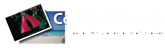 copihuetravel.com