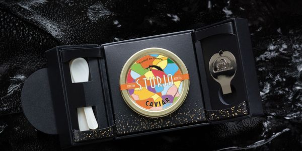 French caviar with mother of pearl spoon and caviar opener, caviar gift box