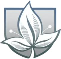 Juarez Landscaping & Maintenance