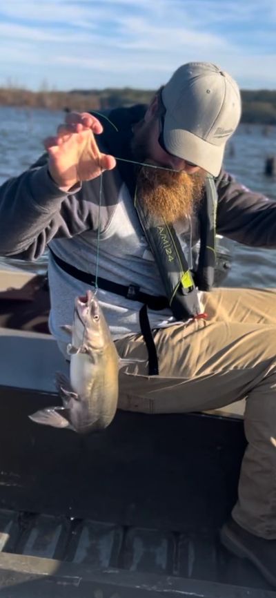 A man holding a thread stepped inside a fish mouth on the ship