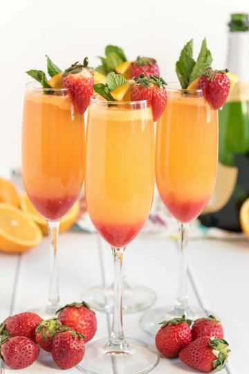 Spiked Mimosa Pitcher 