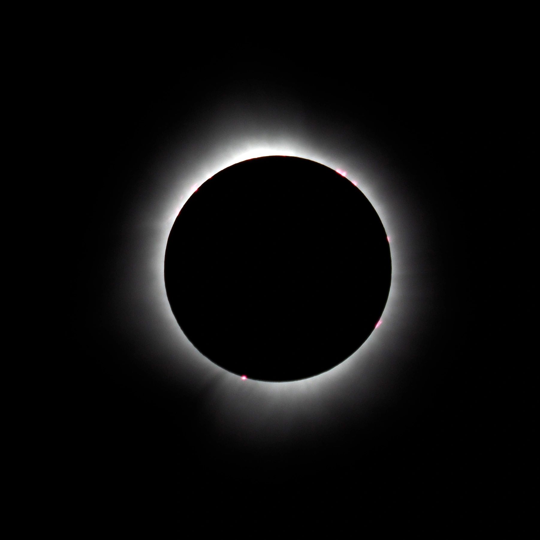 A solar eclipse showing the sun's corona.