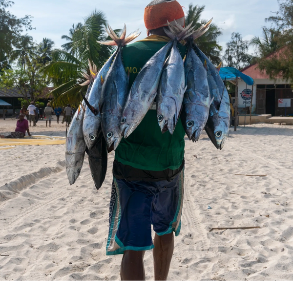 fisherman walking on the beach in kizimkazi zanzibar and carrying 7 freshly caught fish