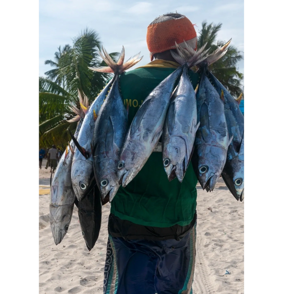 fisherman walking on the beach in kizimkazi zanzibar and carrying 7 freshly caught fish