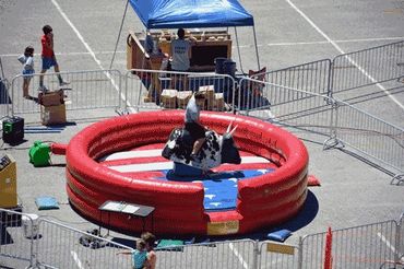 Mechanical Bull Rental