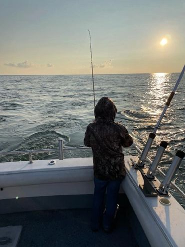 Lake Erie Yellow Perch