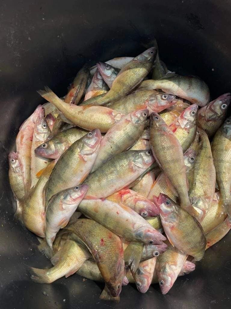 Lake Erie Fishing Report