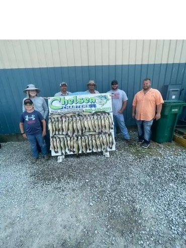 Western Basin Walleye