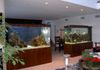 Twin 500 Gallon Custom Saltwater Rectangles