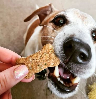 Daily gluten or grain free dog treats