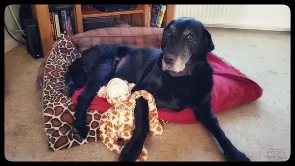 The beautiful Keiko,my inspiration 