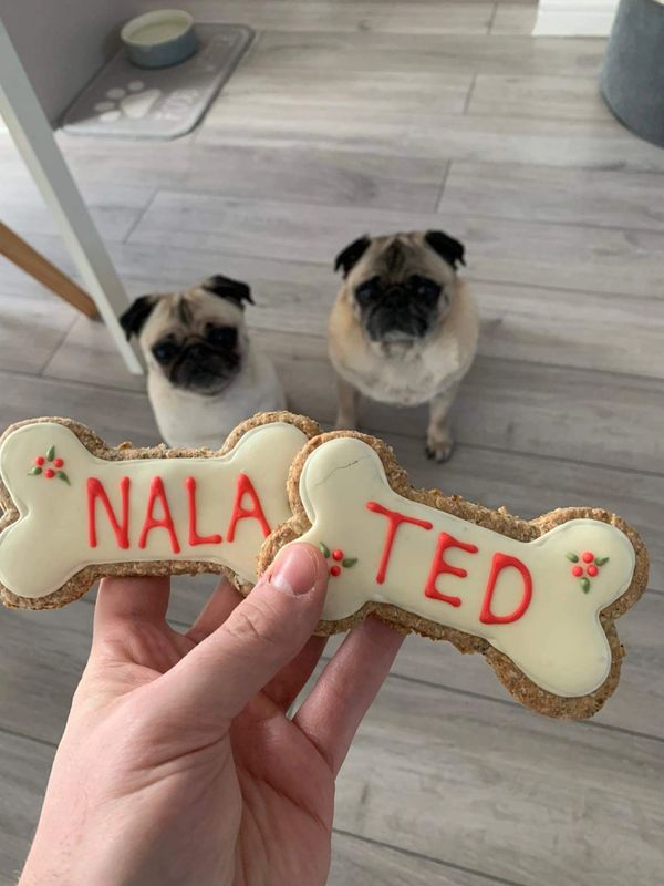 Iced specials for your canine pals 