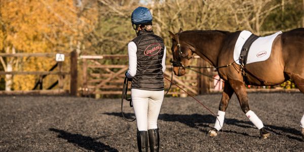 Person in riding gear lunging a horse in an outdoor arena.