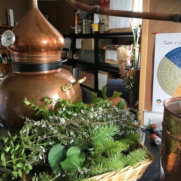 Apparatus to create the organic products, with freshly harvested herbs and ingredients