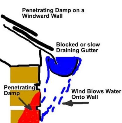 GUTTER CLEARANCE 7 DAMP WALLS