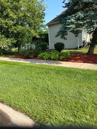 Sod , mulching , bush trimming , hedges