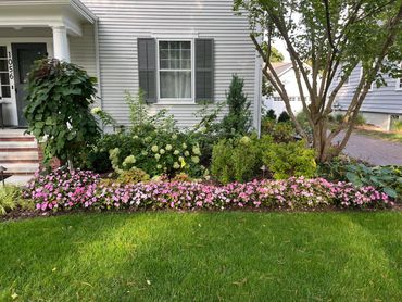 mulching , mulch , flowers , plants , shrubs , grass , trees , tree trimming , leaf clean up
