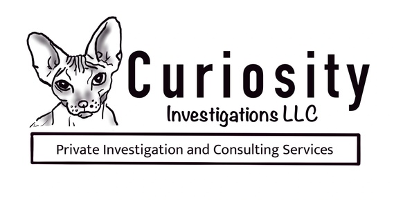 Curiosity Investigations