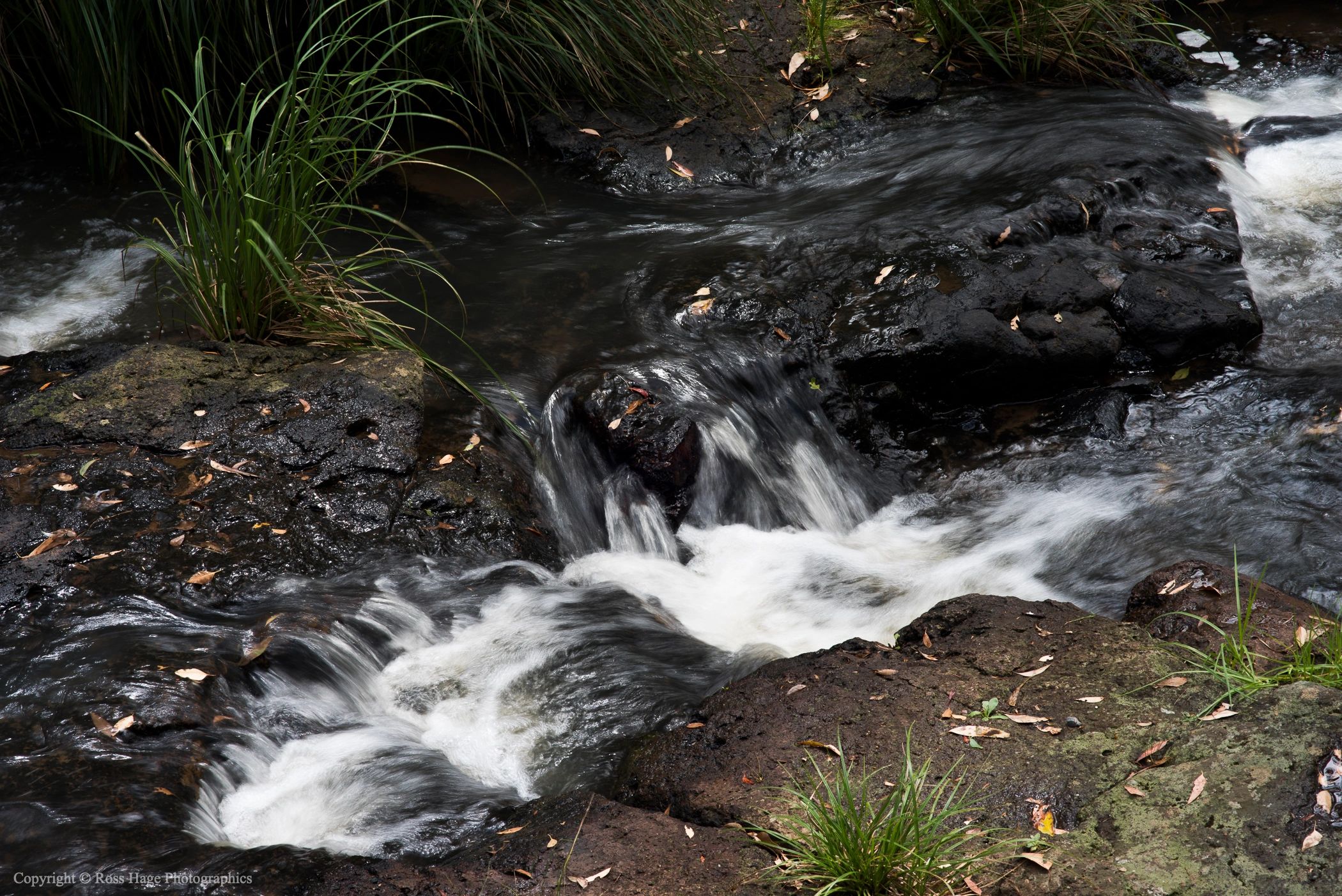 A small waterfall flowing over dark rocks surrounded by green grass.