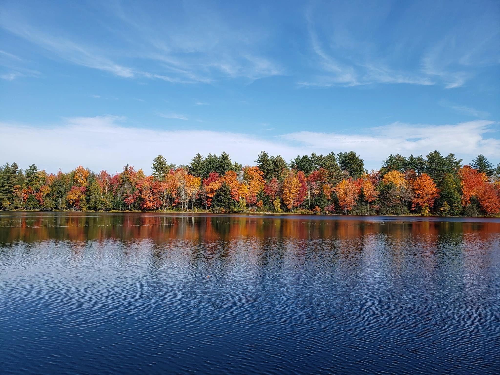 Forest View Maine Brownville Maine Rental, Airbnb Brownville Maine
