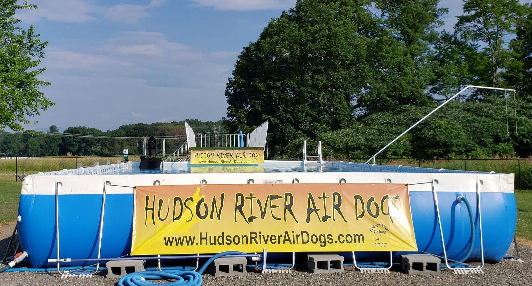 hudson-river-air-dogs-club-sports-club-dock-jumping-events