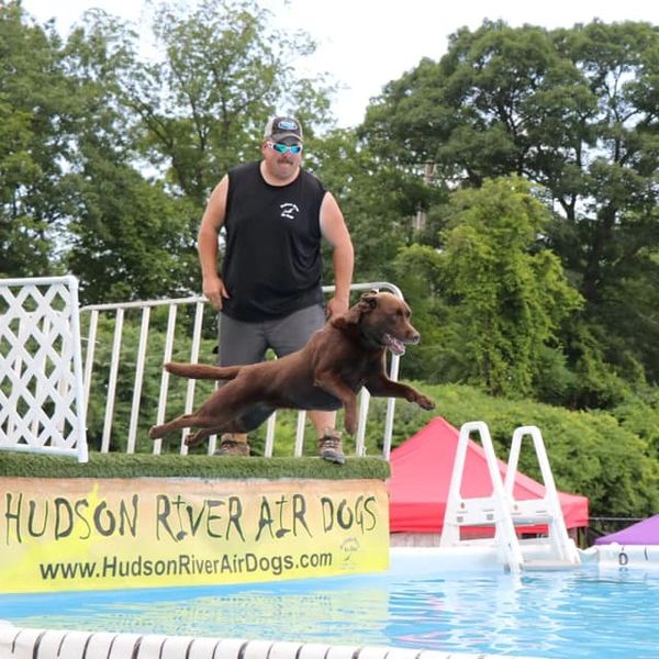 Hudson River Air Dogs Club, Sports Club, Dock Jumping Events