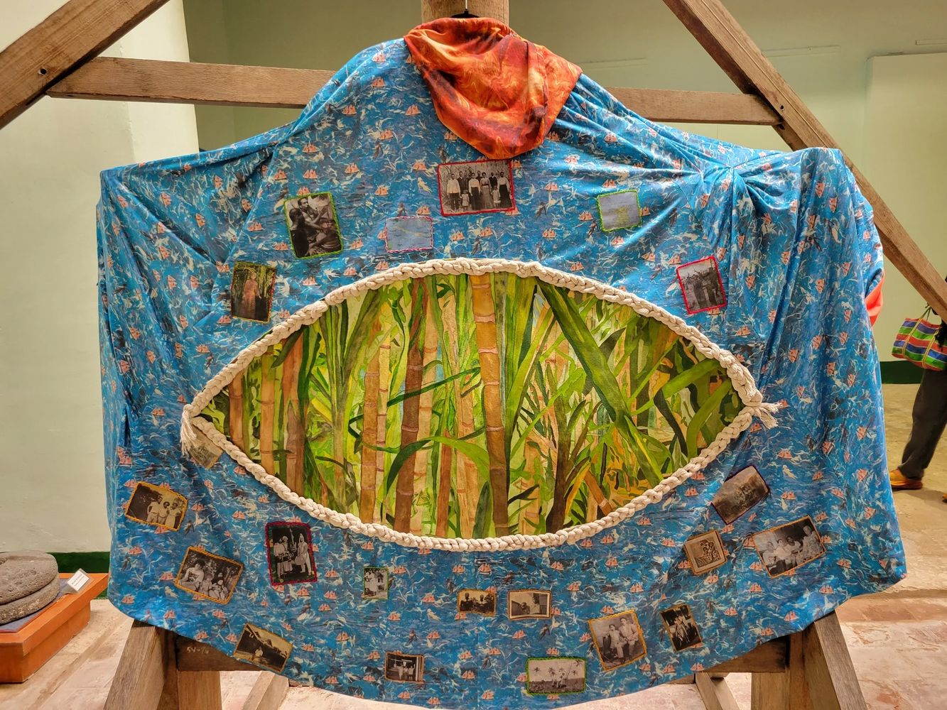 Arriving on the shore, a view through the sugar cane.