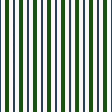 Kelly Green & Blue & Pink Stripes