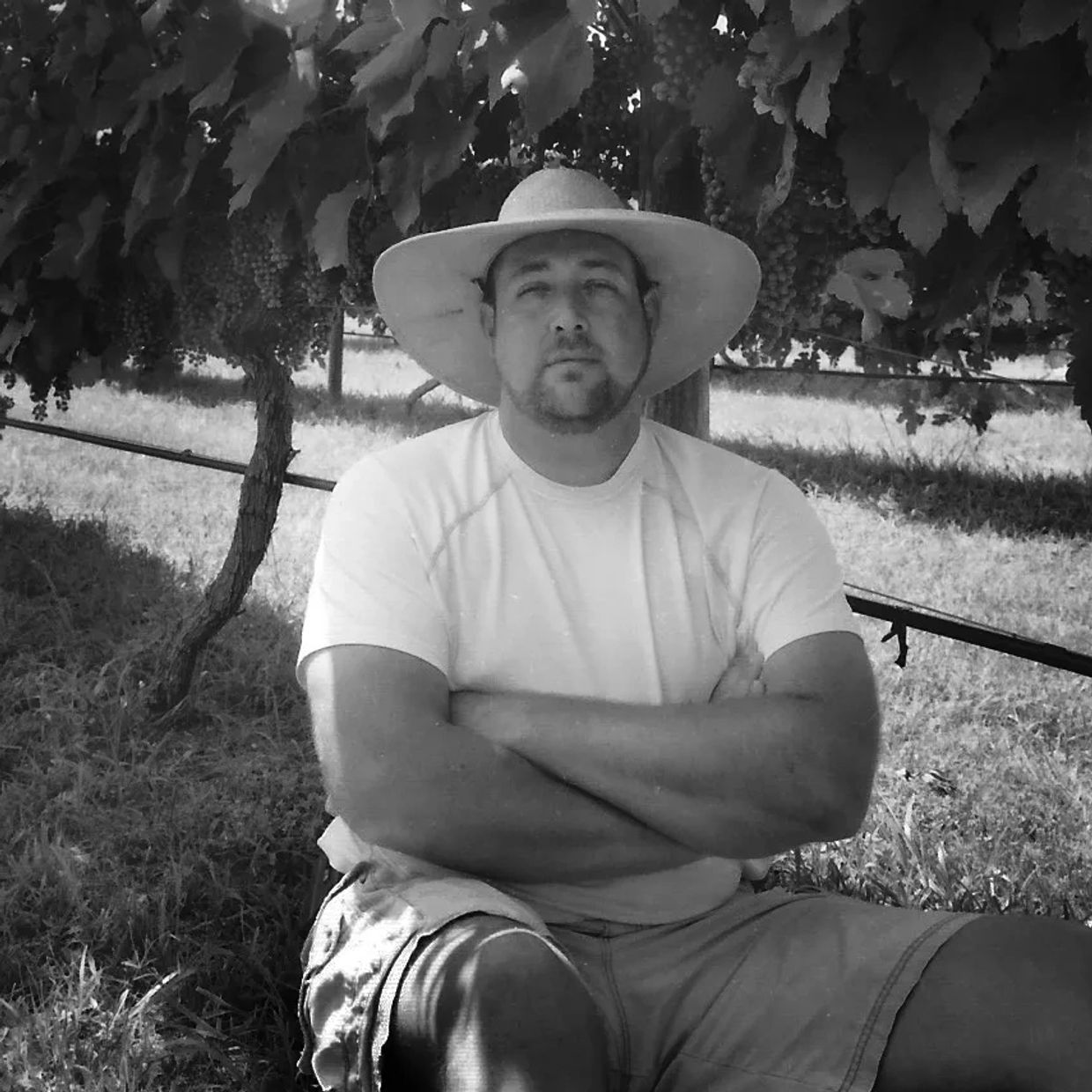 Man in a hat sitting under grapevines in a vineyard.
