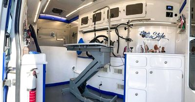 Bark in style mobile pet grooming 2025