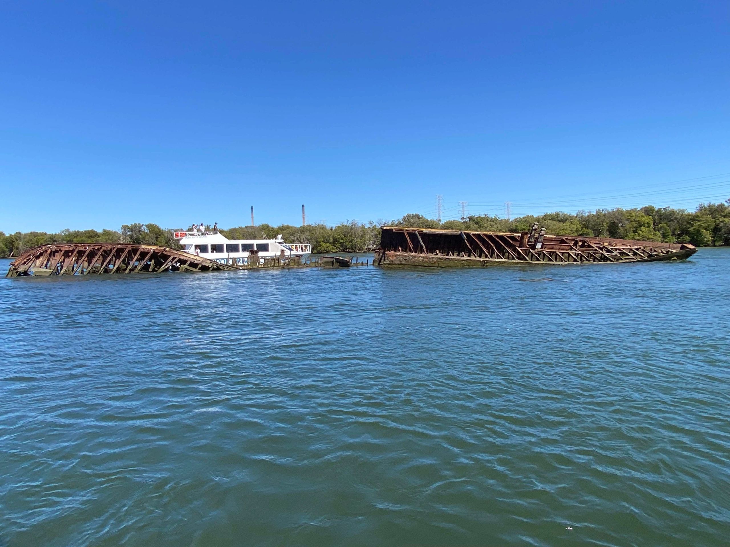 Dolphins swimming in the Port River