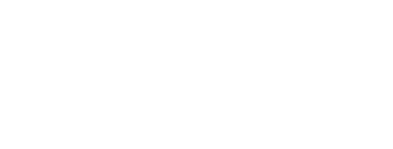 ECO Certified Nature Tourism logo