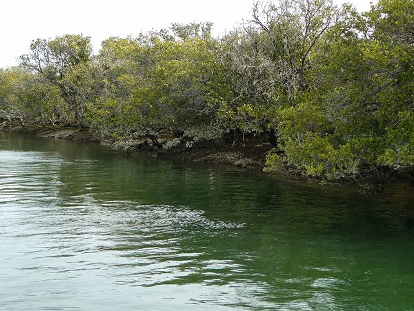 port adelaide day cruises