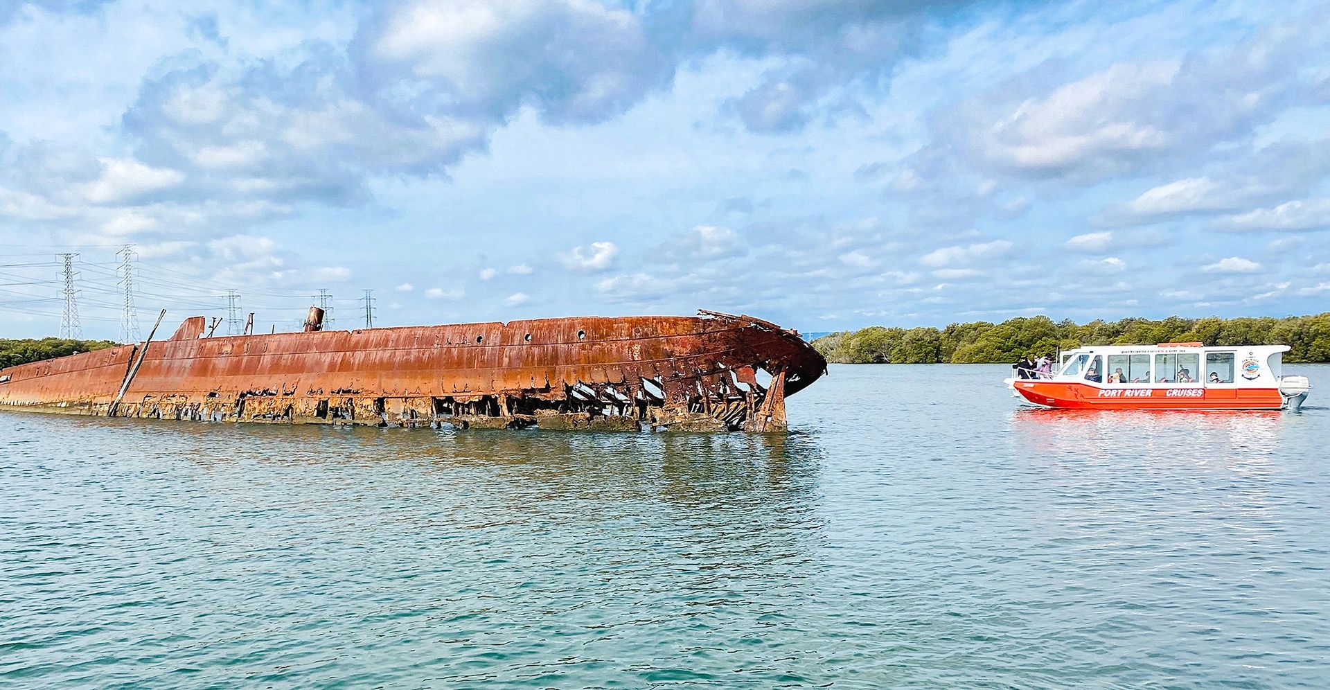 Port Lincoln Dolphin Activities: Dolphin Tours in [placeName