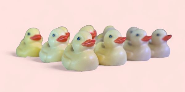 Our Themed Ducky Soaps