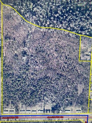 Aerial view of a wooded land parcel bordered by Alligator Road.