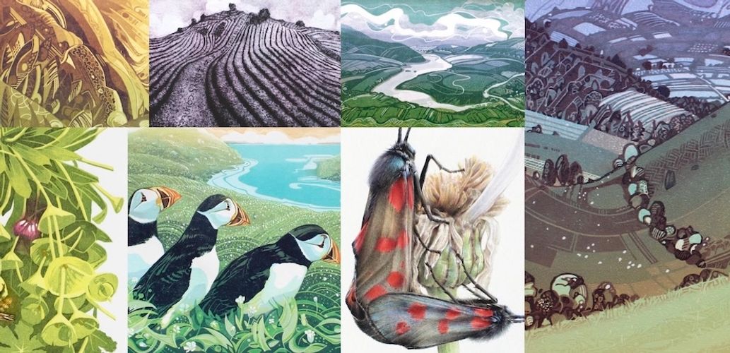 Original linocut prints and drawings of landscapes and wildlife by artist Miranda Whitten-Walker