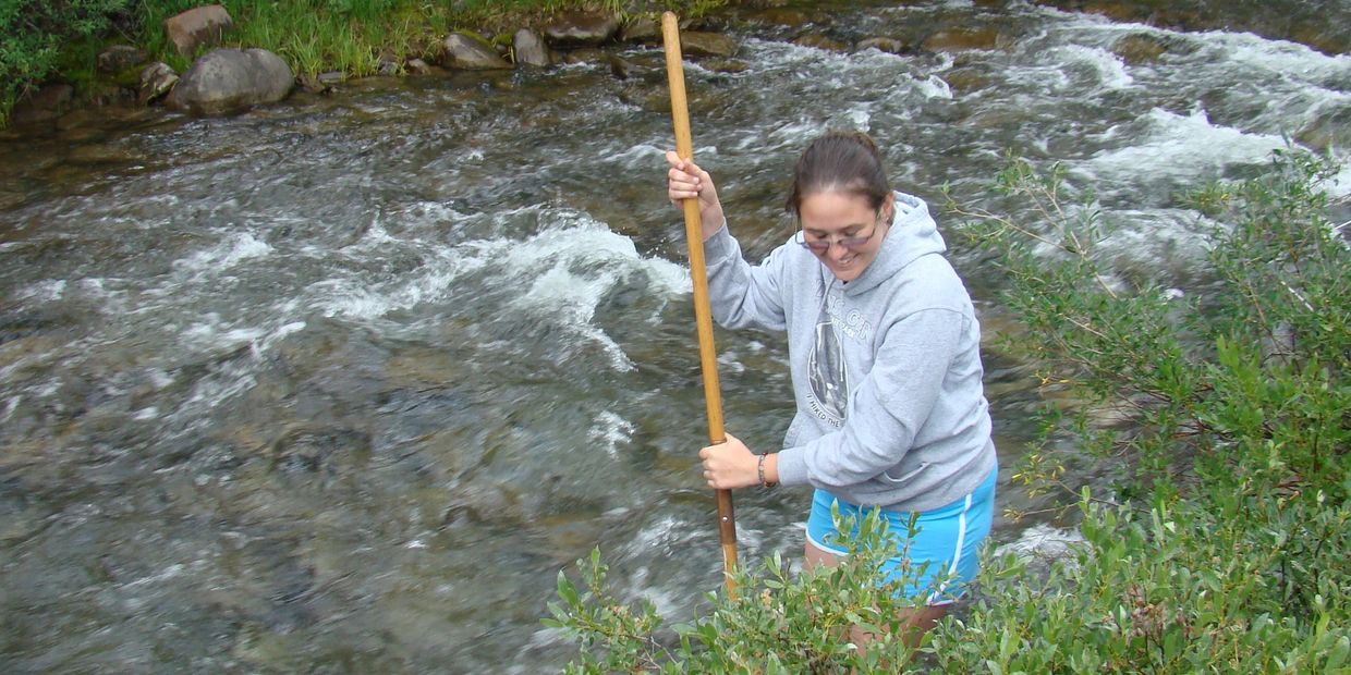 Collecting aquatic insects