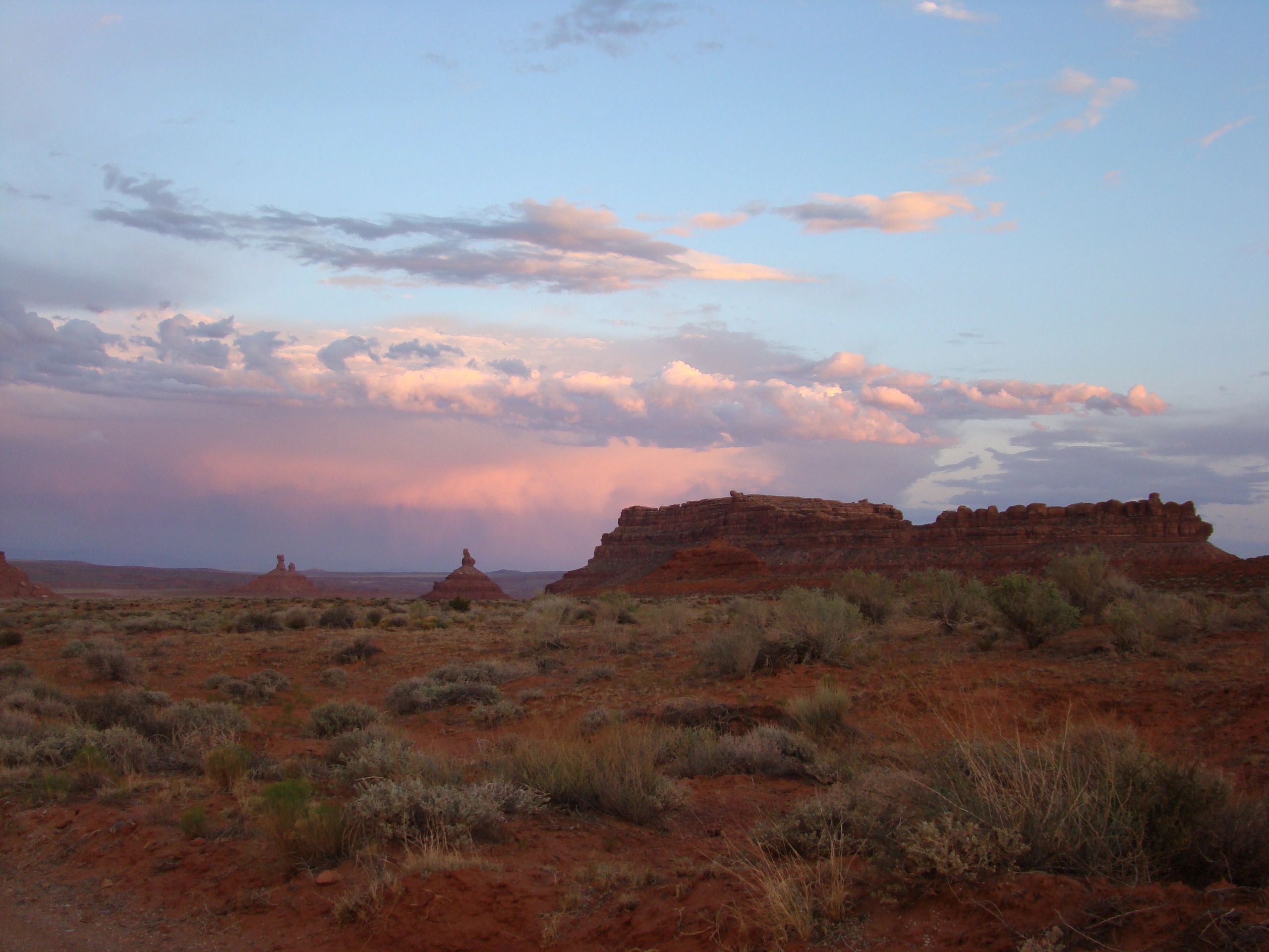 Insect Education Insectopia