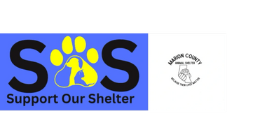 Support Our Shelter, Marion, SC