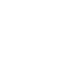 The Standard 509